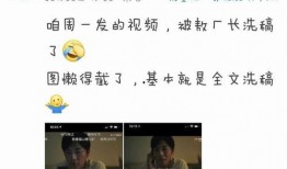 敖厂长最新爆料,最新爆料背后的科技秘密与行业动态